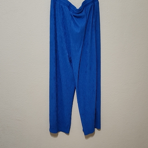 Wide Leg Blue Pants - Picture 7 of 9